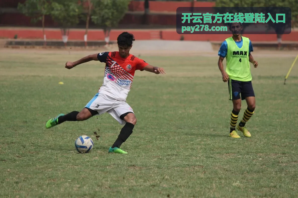 开云官方在线登陆入口访问页面示意